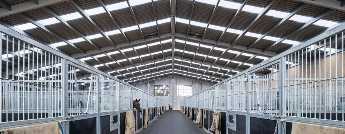 Steel Frame Horse Stables: Building the Perfect Home for Your Horses