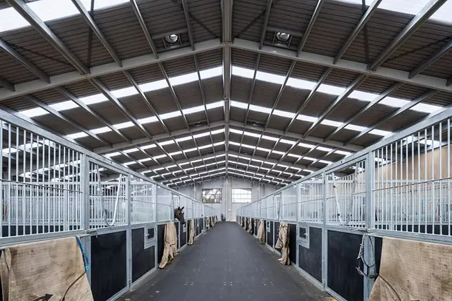 Horse stables