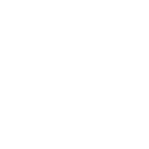 nationwide delivery icon