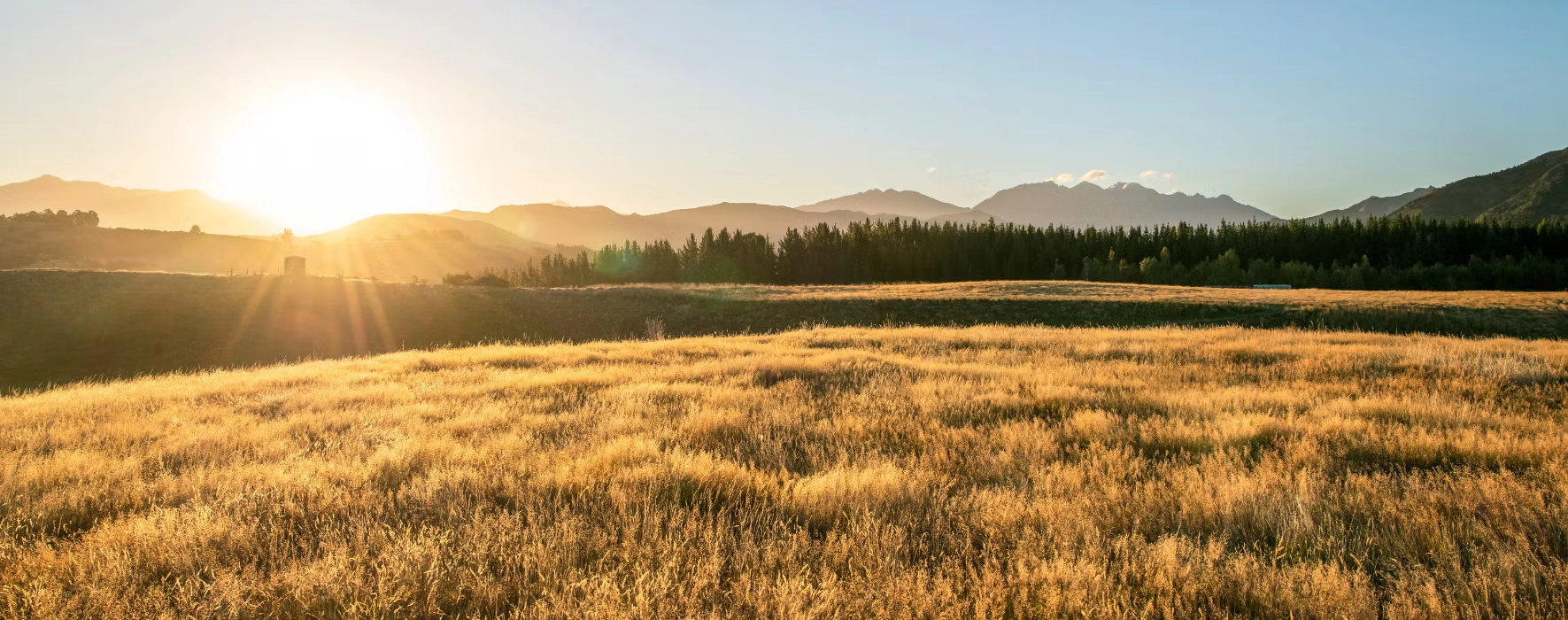 Why Steel is the Smarter Choice for Otago Weather